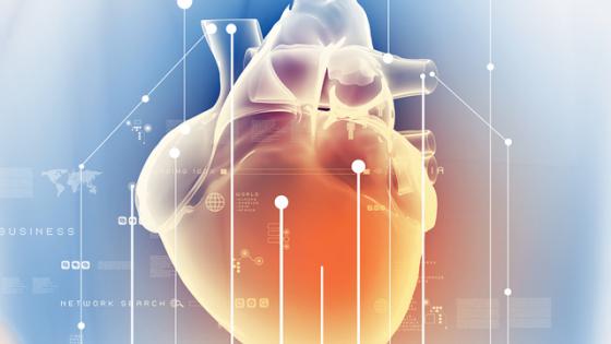 Global longitudinal strain: A new gold standard for assessing heart failure?