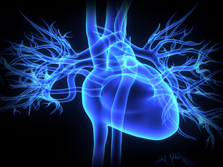 Imaging modalities differ in assessing key heart metric